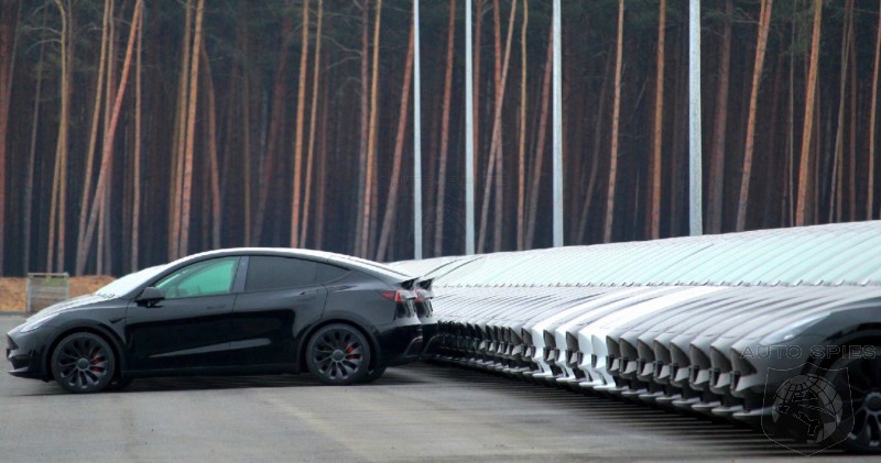 German Environmentalists Demand Tesla Gigafactory Operating License Be Revoked